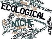 nicho como concepto abstracto