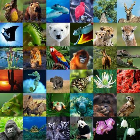 Introducción al nicho ecológico