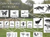 Introducción comunidad biológica, problema interacciones entre diferentes especies