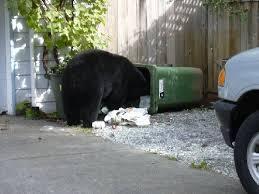 El nicho teórico y nicho fundamental