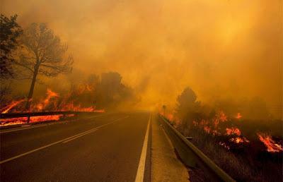 Un 96% de los Incendios en España Se Deben a la Acción del Ser Humano