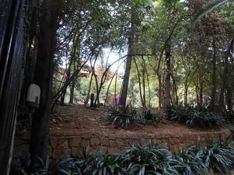 BARCELONA... MUCHAS GRACIAS SR. VALENTÍ PONS TOUJOUSE...CASA JOSE  BERTRÁN I MUSITÚ...ESPÍA DE FRANCO...4-07-2013...