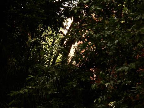 BARCELONA... MUCHAS GRACIAS SR. VALENTÍ PONS TOUJOUSE...CASA JOSE  BERTRÁN I MUSITÚ...ESPÍA DE FRANCO...4-07-2013...