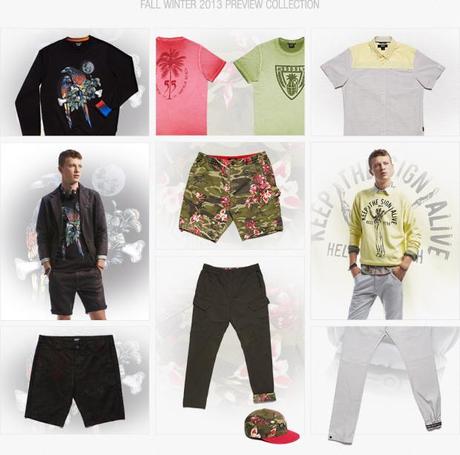 55DSL PREVIEW FW13 press