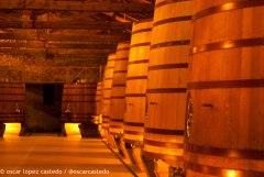 Bodegas CVNE