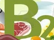Vitamina "b2" riboflavina