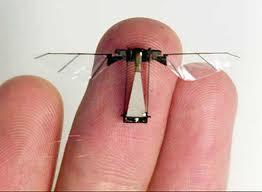 Snowden: Un nuevo episodio antimpunidad