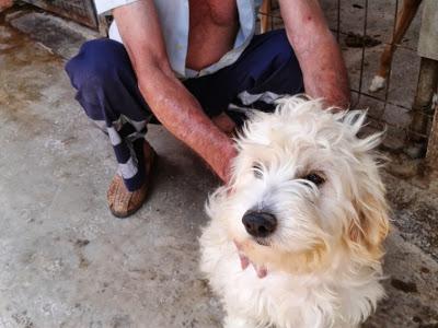 ENCERRADA EN UNA JAULA POR MESTIZA.