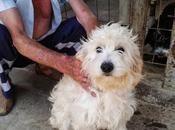 Encerrada jaula mestiza.