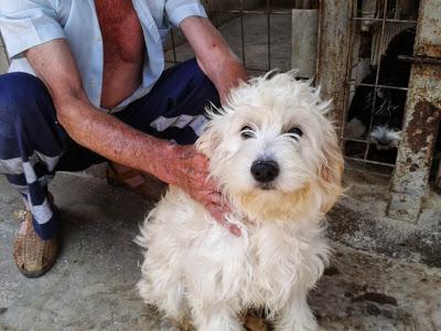 ENCERRADA EN UNA JAULA POR MESTIZA.