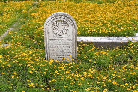 El duelo desde la perspectiva de la terapia Gestalt – Carta a una amiga muerta