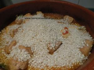 Arroz con pollo y magro de cerdo en costra