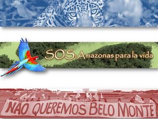 SOS: Amazonas para la vida