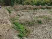 Denuncian ecocidio cabecera cauce Miranda