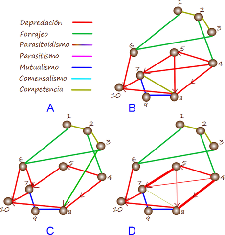 Exclusión competitiva Exclusión competitiva