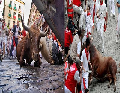 ENCIERRO DE TOROS EN PAMPLONA ¨OTRO AÑO DE CRUELDAD¨