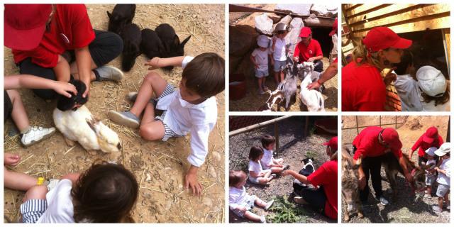 Taller de animales