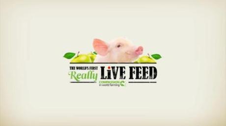 compassion in world farming