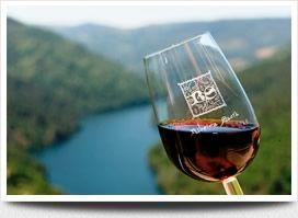 Preanes Mencía 2011, de Bodegas Preanes