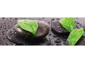 Cosméticos termales