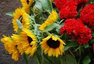 He aprendido... (III) (La Ribera, Barcelona, junio 2011) HE APRENDIDO… (y IV)