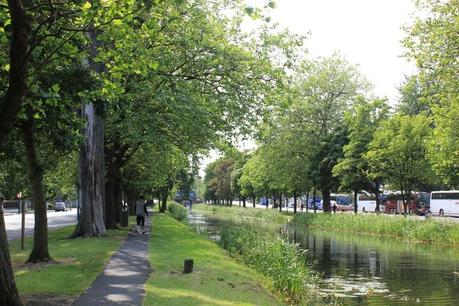 Image Hosted by ImageShack.us