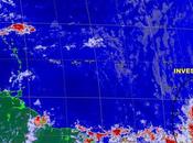 disturbio tropical pudiera pasar próximo Caribe siguientes días