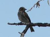 Este cuento enseñará verdadero significado problemas