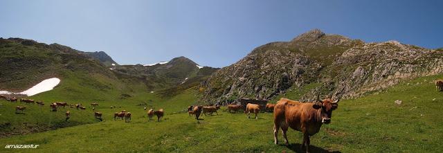 ruta circular al monte la enramada, somiedo