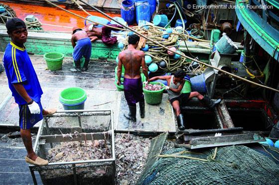 trabajadores en un barco de pesca thailandés