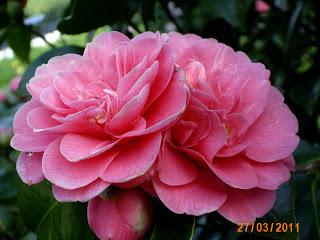 toda acción, tiene su consecuencia...preparados para ello????