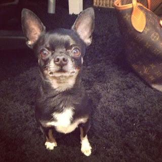 Bymyheels on Instagram - June 2013