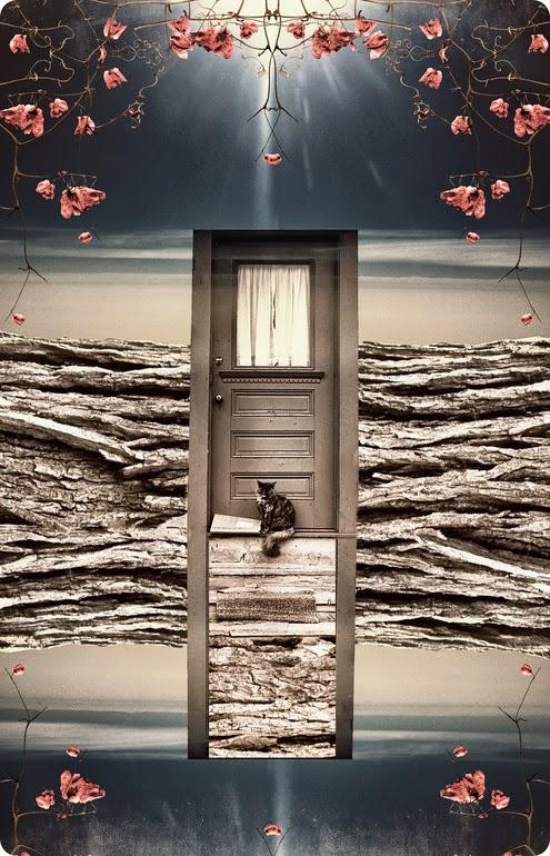 Deirdre Ohlwein Wolfgang