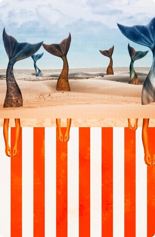 Deirdre Ohlwein Wolfgang