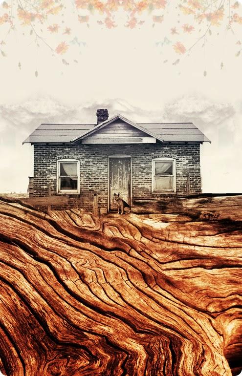 Deirdre Ohlwein Wolfgang