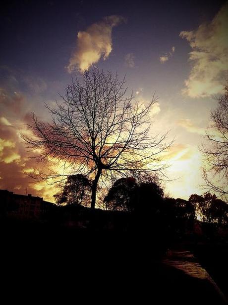 Androidografia Barakaldo 1412