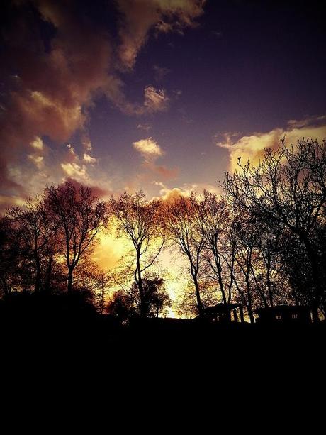 Androidografia Barakaldo 1411