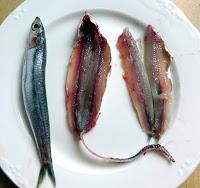 Canelones de Remolacha con Guacamole y Boquerones.