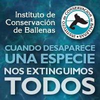 Instituto de conservación de ballenas