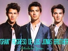 caída Jonas Brothers