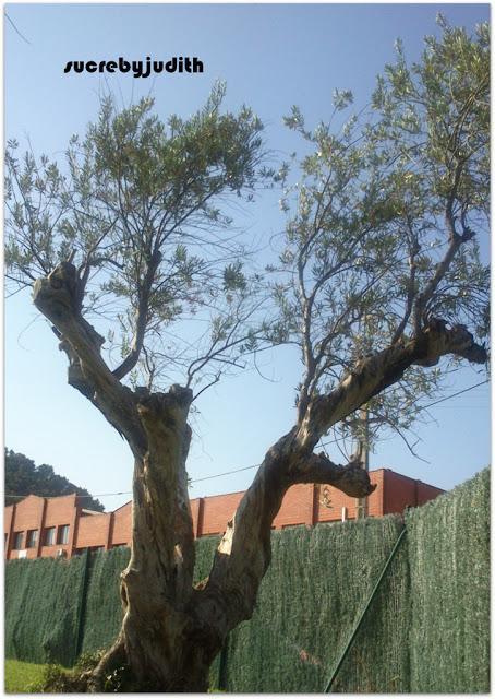 IMAGES OF MY INSTAGRAM IMAGES OF MY INSTAGRAM