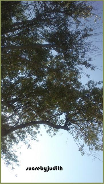 IMAGES OF MY INSTAGRAM IMAGES OF MY INSTAGRAM