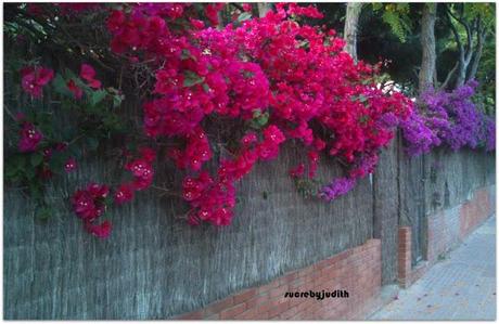 IMAGES OF MY INSTAGRAM IMAGES OF MY INSTAGRAM