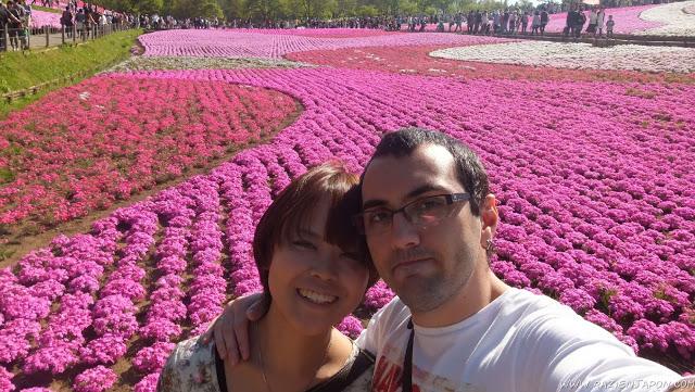 El parque de las flores infinitas HITSUJIYAMA PARK