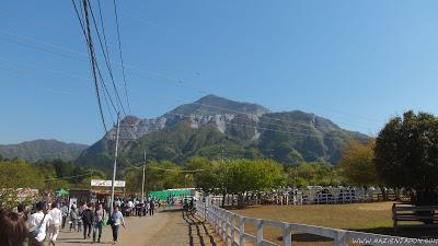El parque de las flores infinitas HITSUJIYAMA PARK