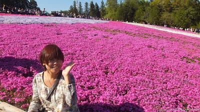 El parque de las flores infinitas HITSUJIYAMA PARK