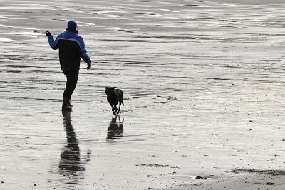 Hacia una cultura canina…..¡y humana!