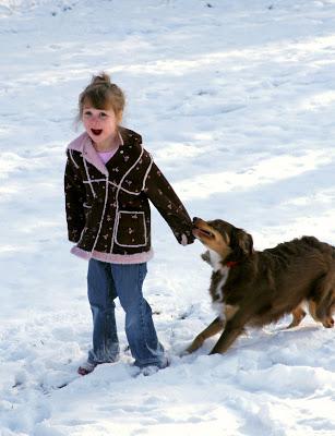 Hacia una cultura canina…..¡y humana!