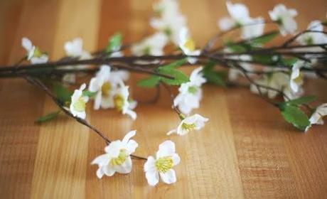 DIY: Corona de Flores DIY: Corona de Flores