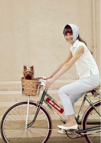 Las bicicletas son para el verano Las bicicletas son para el verano